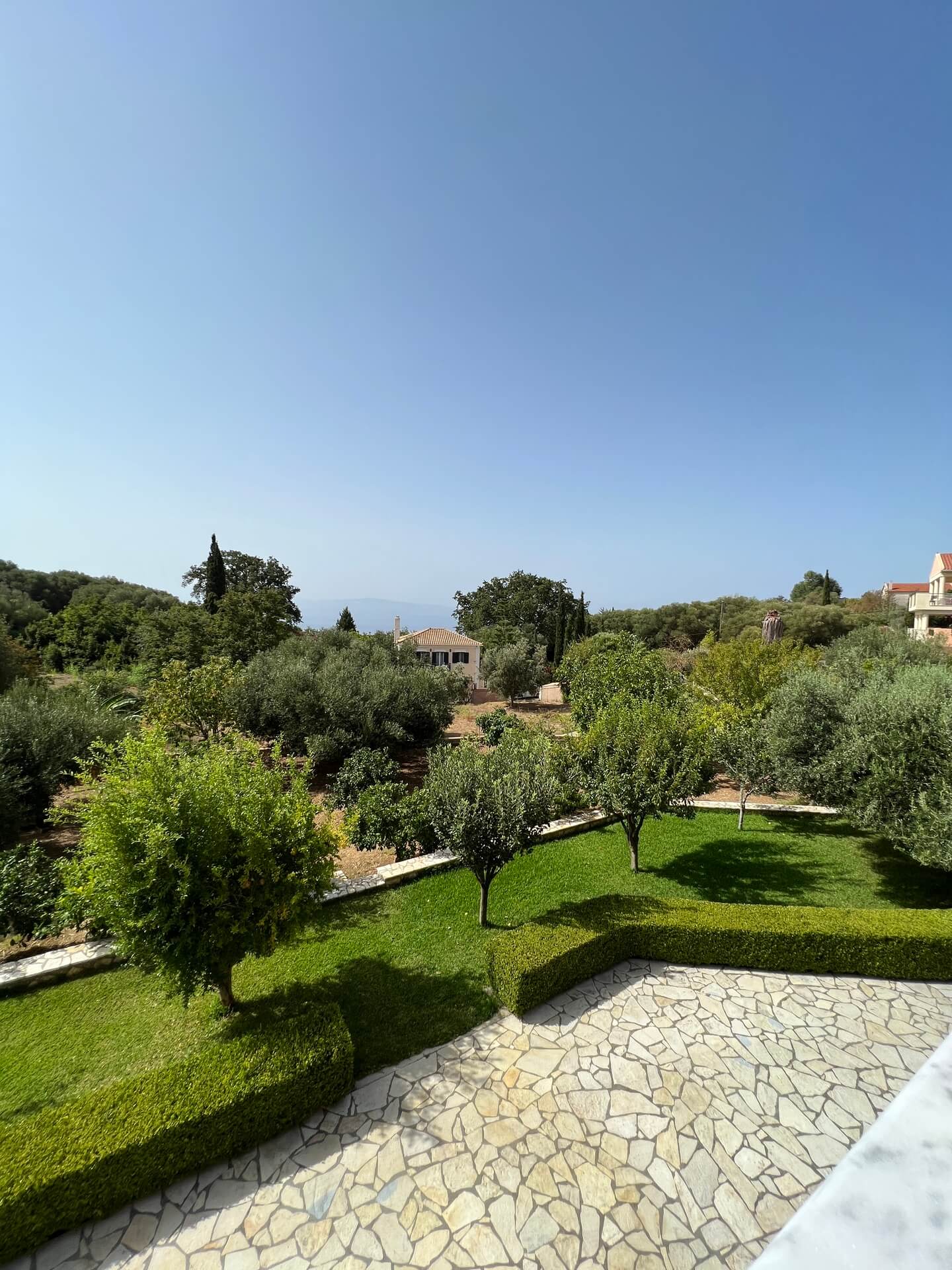 garden top view.jpg